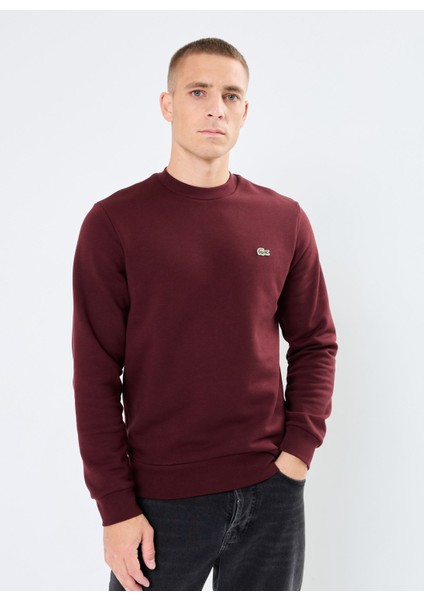 Erkek Klasik Fit Bisiklet Yaka Bordo Sweatshirt