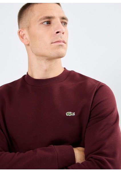Erkek Klasik Fit Bisiklet Yaka Bordo Sweatshirt fiyatları