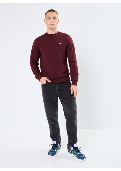 Erkek Klasik Fit Bisiklet Yaka Bordo Sweatshirt modelleri