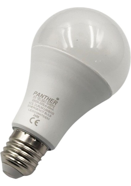 Eco 8W Acil Durum Şarjlı LED Ampul