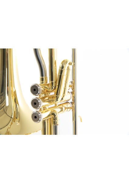 Roy Benson VT-227 Pistonlu Tenor Trombon