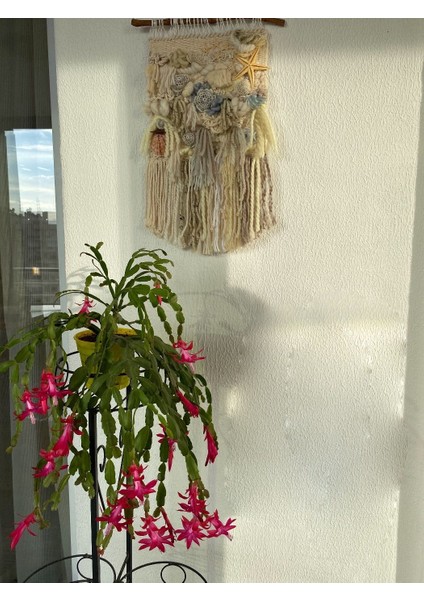 Hasat Dantelli Deniz Yıldızlı Makrome Ipli Duvar Dekorasyonu