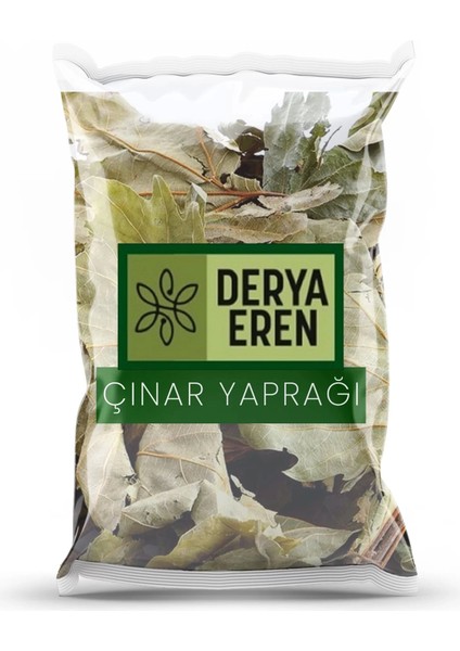 Çınar Yaprağı Derin Yırtıklı 100 gr