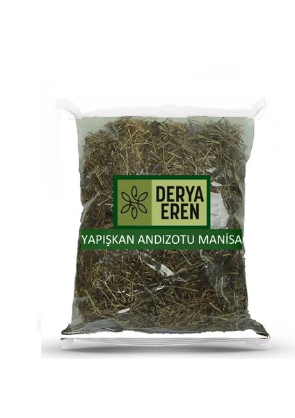 Yapışkan Andız Otu Manisa 100G