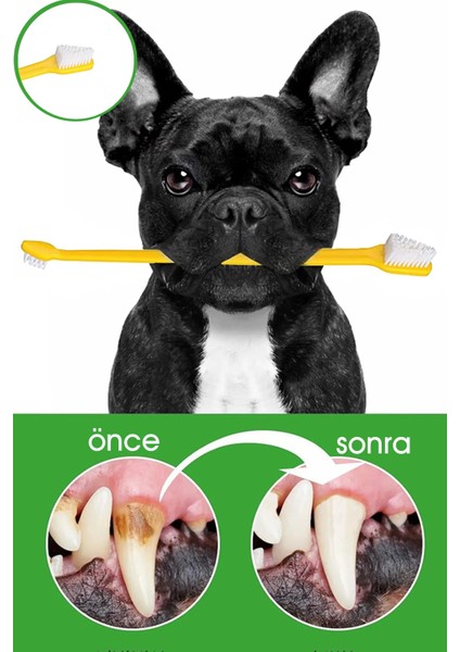 8li' Büyük Irk Diş Fırçası Yavru Köpek Ağız Temizleme Çift Taraflı Pet Sağlık Kedi Dişfırçası