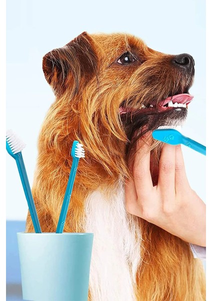 8li' Büyük Irk Diş Fırçası Yavru Köpek Ağız Temizleme Çift Taraflı Pet Sağlık Kedi Dişfırçası