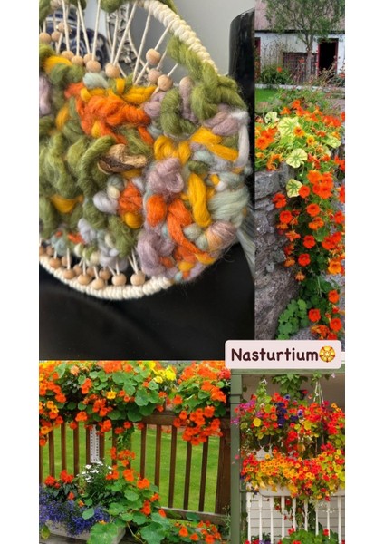 Nasturtium Sarmaşık Çiçekli Doğa Desenli Bohem Yünlü Iplikli Ev Salon Duvar Dekoru indirimleri