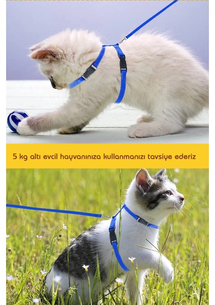 Krizantem Bel Boyun Göğüs Ayarlanabilir Kedi Tavşan Yavru Pet Gezdirme Tasması Uzun Kayışlı