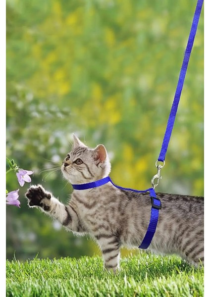 Krizantem Bel Boyun Göğüs Ayarlanabilir Kedi Tavşan Yavru Pet Gezdirme Tasması Uzun Kayışlı