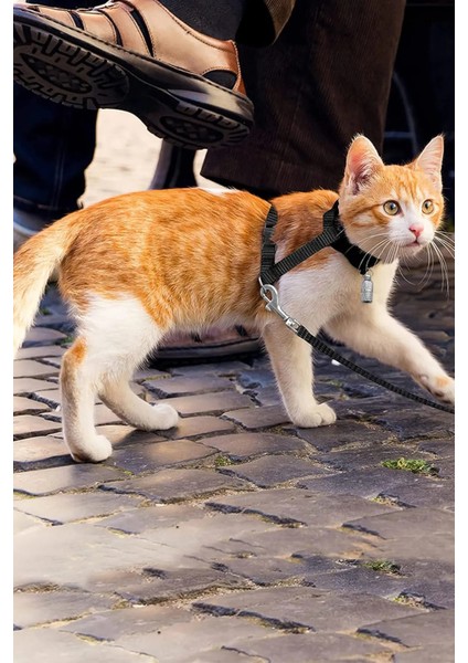 Krizantem 2'li Kedi Tavşan Küçük Köpek Evcil Gezdirme Tasması