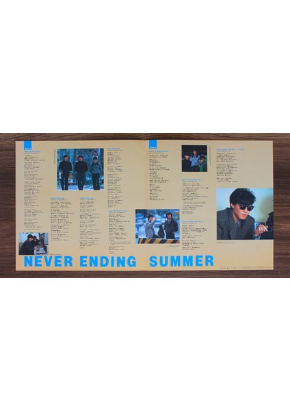 S. Kiyotaka & Omega Tribe - Never Ending Summer modelleri