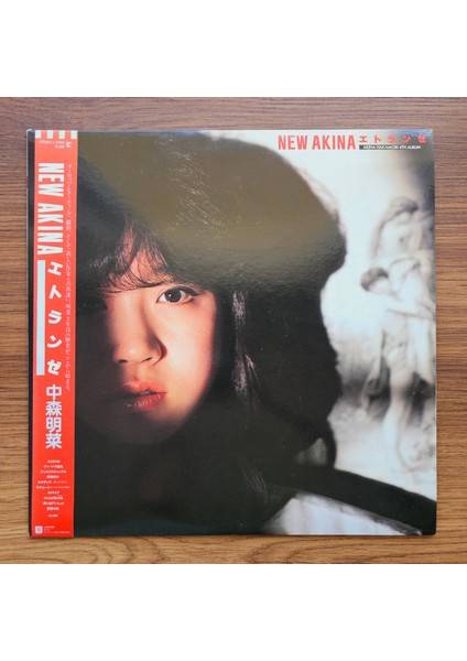 Akina Nakamori – New Akina