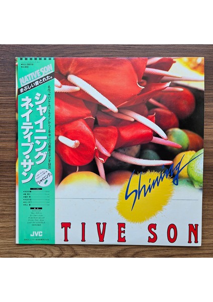 Native Son – Shining