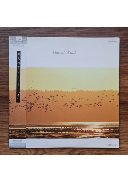 Toshiyuki Watanabe – Paused Wind