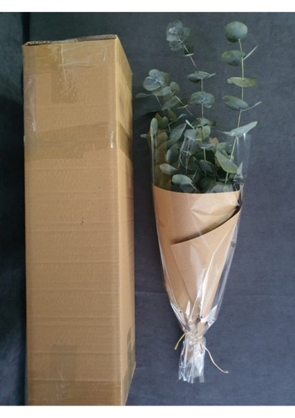 Tekno Trust Kuru Çiçek Şoklanmış Okaliptus Demeti Yeşil (50 Cm)