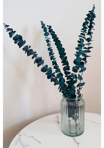 Tekno Trust Şoklanmış Mavi Okaliptus Kurutulmuş Şoklu Okaliptus Demeti