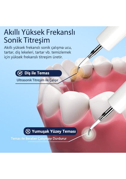 DS1 Şarjlı Diş Taşı Temizleme Cihazı, Diş Tartar Sökücü Plak Ve Leke Temizleyici, Diş Beyazlatma