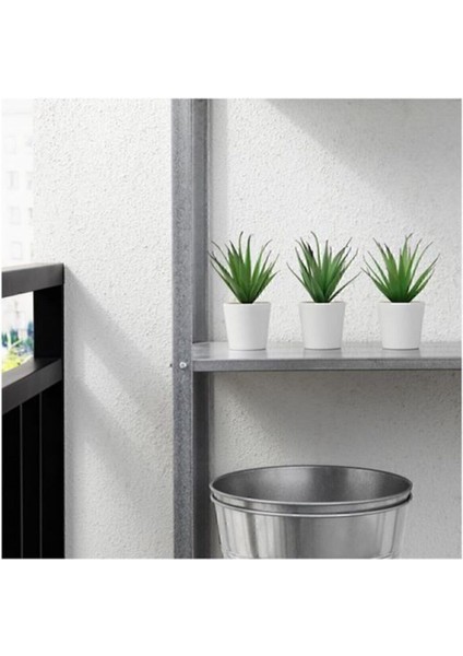 Tekno Trust Saksılı Yapay Bitki, Yeşil, 6 Cm, Kaktüs modelleri