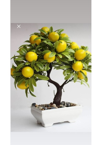 Tekno Trust 1 Adet Yapay Limon Ağacı