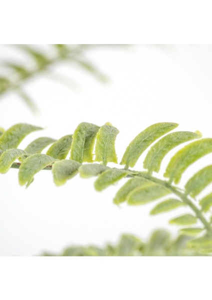 Tekno Trust Yapay Fujer (Aşk Merdiveni) 50 cm fiyatları