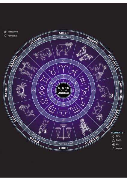 925 Ayar Akrep Burcu Burç Çarkı Unisex Gümüş Kolye 45-55CM fiyatları