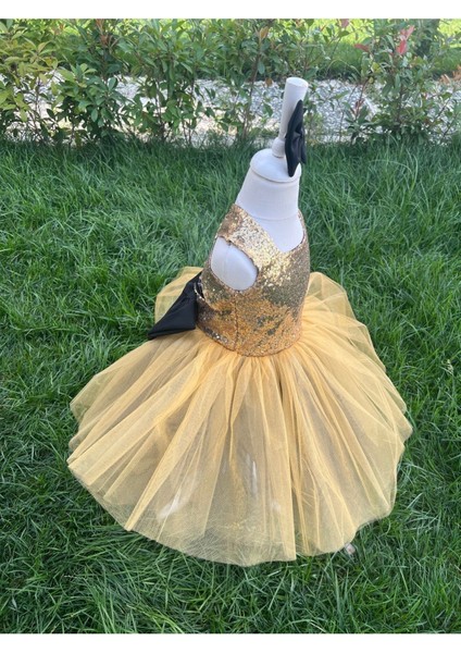 Kız Çocuk Gold Payet Detaylı Tüllü Kabarık Abiye Elbise modelleri