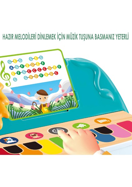 Dokunmatik Piyano Çocuk Müzik Oyuncak Seti Aslan Mavi modelleri