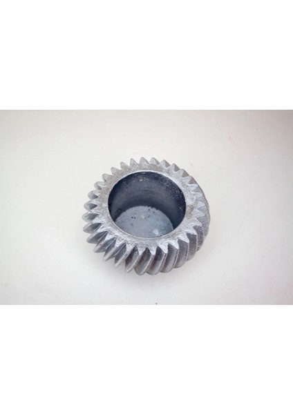 6 Adet Dekoratif Beton Saksılık Kaktüs ve Sukulentlik