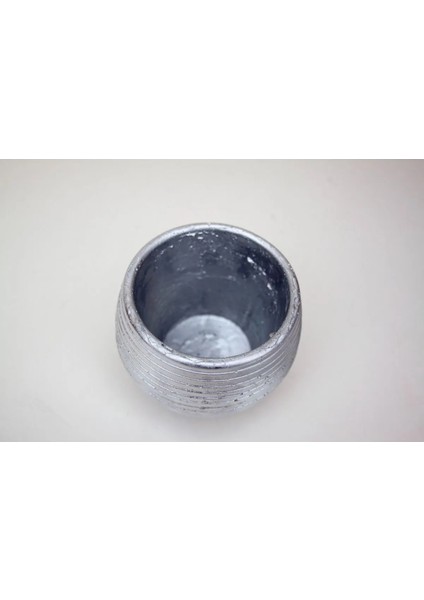 6 Adet Dekoratif Beton Saksılık Kaktüs ve Sukulentlik