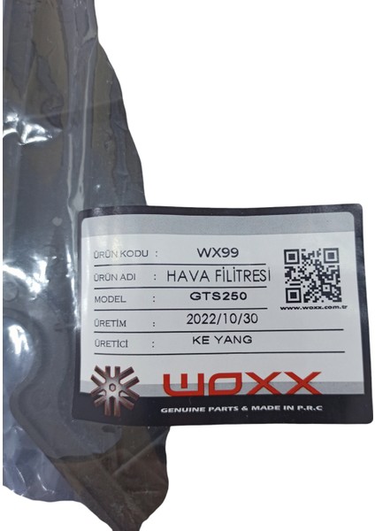 WX-099 Hava Filtresi Woxx [sym] Joymax 250 - Gts 250