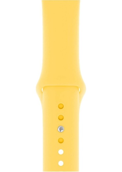 Apple Watch Seri 1/2/3/4/5/6/7/8/SE/38MM 40MM 41MM Kordon Kayış Bileklik Klasik Kaliteli Silikon