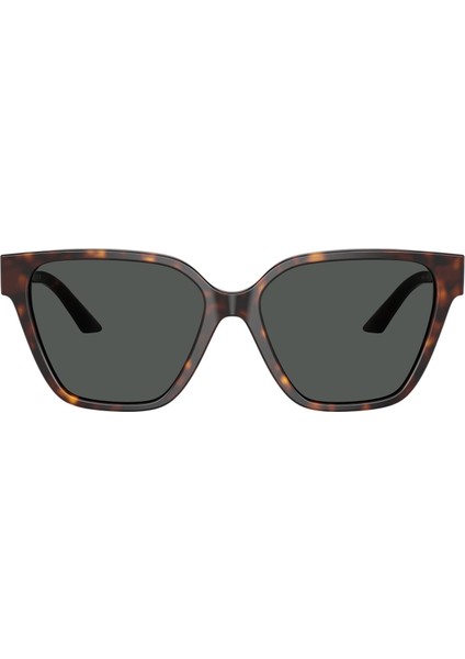 4471B 108/87 56 Güneş Gözlüğü fiyatları