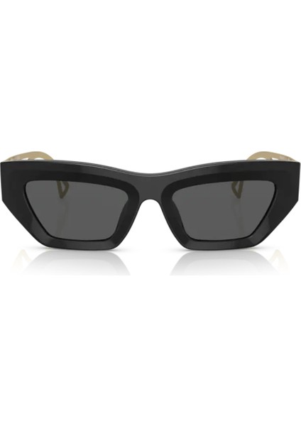 4432U Gb1/87 53 Güneş Gözlüğü fırsatları