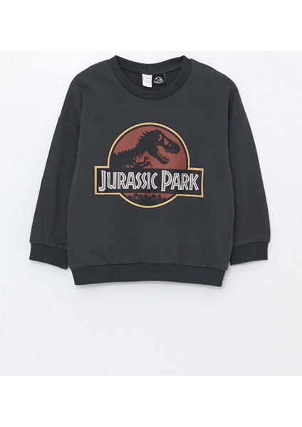 Çocuk W4BG33B1 Tkm,jurassıc1 4W Anthracıte fiyatları