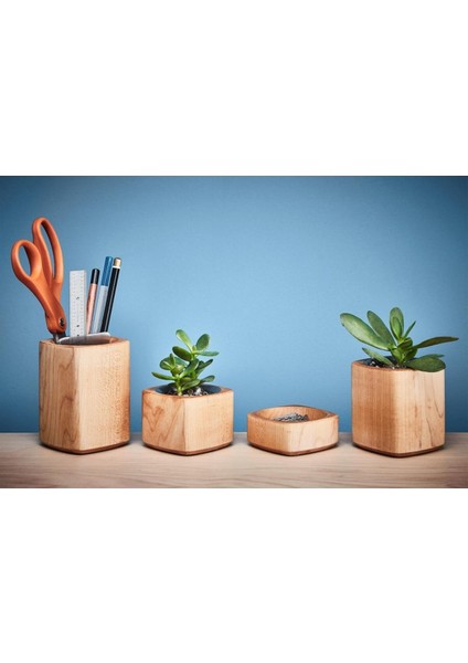 Grovemade Masaüstü Mini Çiçeklik - Meşe