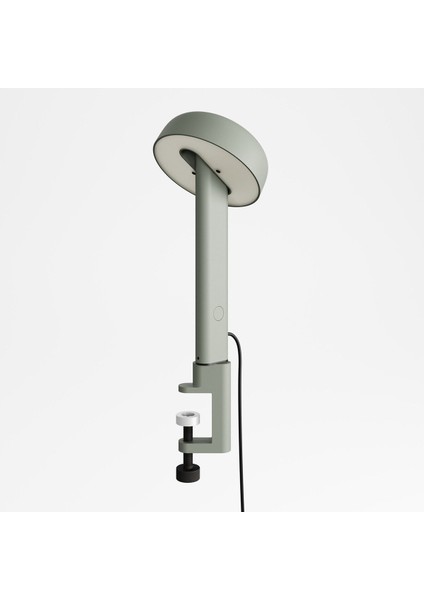 Masa Lambası - Tasarım Ödüllü Ergonomik Metal Masa Lambası - Okaliptus