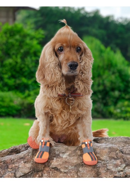 Köpek Ayakkabısı-Turuncu Köpek Ayakkabısı-Kaydırmaz Kauçuk Taban Köpek Ayakkabısı- Reflektörlü, Fermuarlı Köpek Ayakkabısı