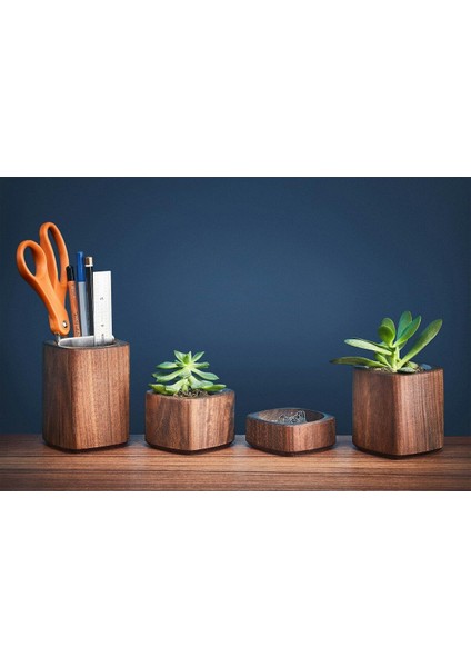 Grovemade Masaüstü Mini Çiçeklik - Ceviz indirimleri
