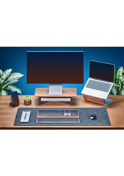Grovemade Premium Laptop Standı - Dizüstü Bigisayar Yükseltici Stand - Ceviz modelleri