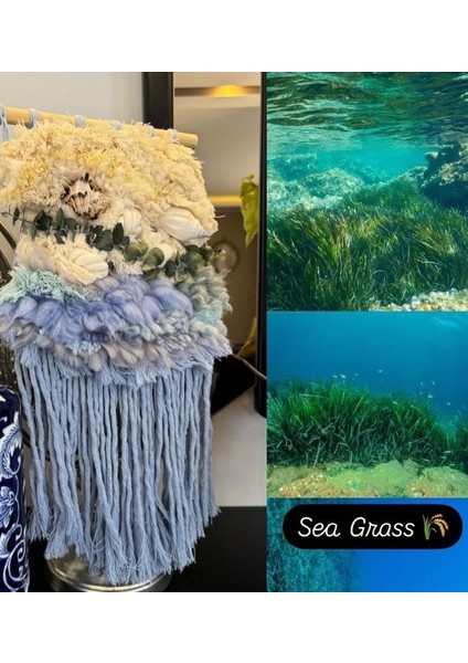 Deniz Çayırı Mavi Okaliptüs Çiçekli Deniz Kabuklu Püsküllü Bohem Doğa Esintili Ev Dekorasyonu indirimleri