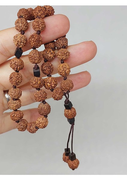 Rudraksha Tohum Düğümlü 33LÜK Tesbih (1758)