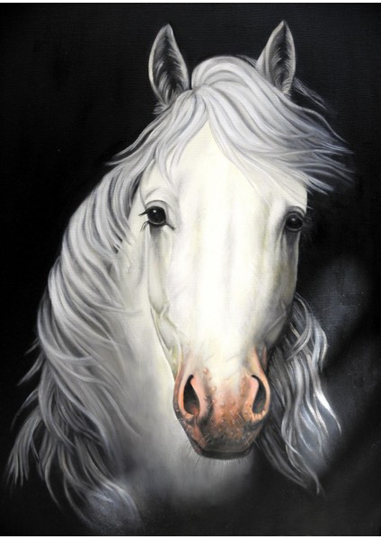 siyah-Beyaz Sevilen Beyaz At Tablosu 1 |çerçeveli Temperli Cam Tablo Tekli Dikey fiyatları