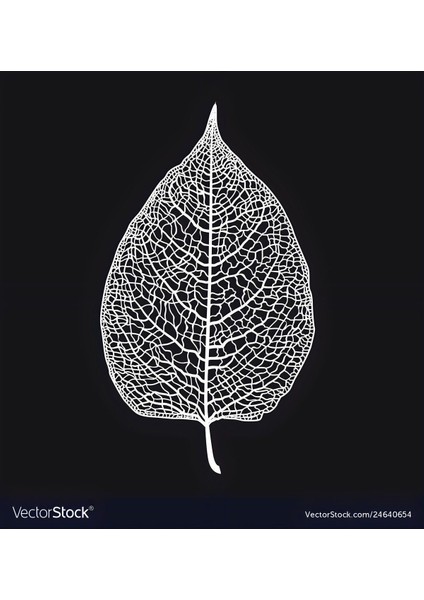 siyah-Beyaz Sevilen Kuş Tüyü 7 |çerçeveli Temperli Cam Tablo Tekli Dikey fiyatları