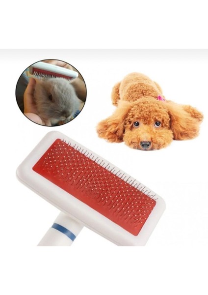 Kedi Köpek Tavşan Evcil Hayvan Fırça Tarak Telli Beyaz Yumuşak fiyatları
