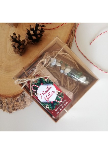 Yeni Yıl Yılbaşı Hediyesi Kutulu Kahve Draje Hediye 10 Adet fiyatları