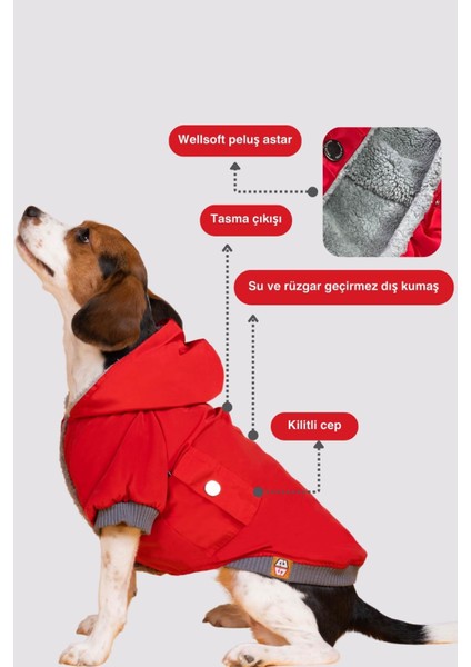 Köpek yağmurluğu, Köpek Mont Intense Red Design Su Geçirmez Köpek Montu, Küçük Irk Köpek Kıyafeti