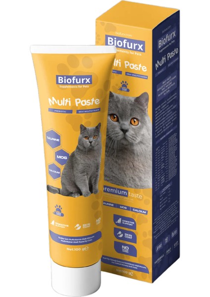 Multi Paste Kedi Multivitamin Malt Macunu 100 gr