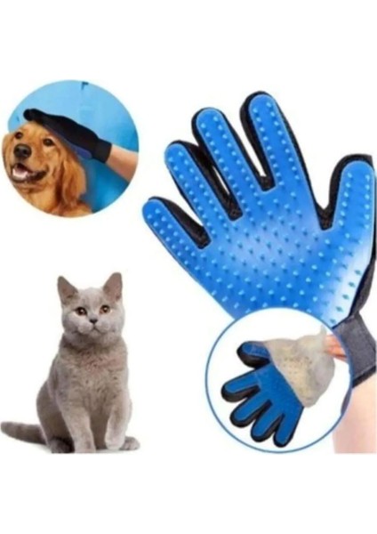 Krizantem 2 Adet Kedi Köpek Tüy Toplayıcı Masaj Yapıcı Tarama Eldiveni