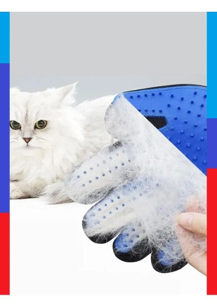 Krizantem 2 Adet Kedi Köpek Tüy Toplayıcı Masaj Yapıcı Tarama Eldiveni