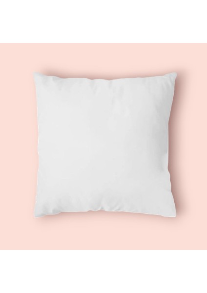 Kırlent Iç Yastık 2 Adet Ultra Dolgun Kaz Tüyü Dolgulu Kırlent Yastığı 800 gr 45*45 fiyatları